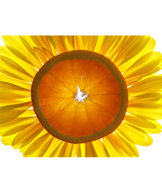 FOTOPROTECCIÓN ORAL Y ANTIOXIDANTES: EL ALIADO INVISIBLE PARA PREPARAR LA PIEL ANTE EL SOL